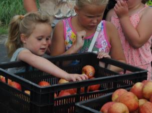 Woensdag 17 juni 2015