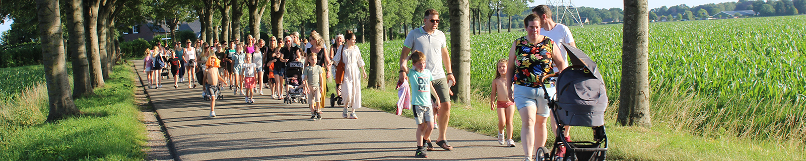 Avondvierdaagse Hoeven