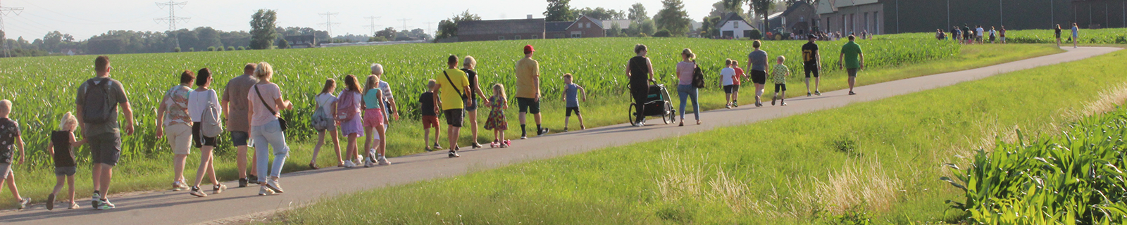 Avondvierdaagse Hoeven
