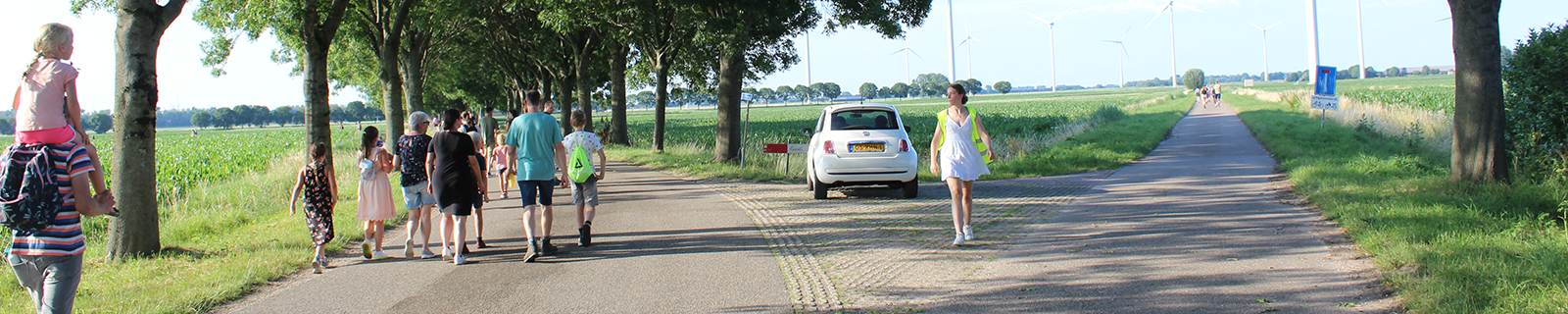 Avondvierdaagse Hoeven
