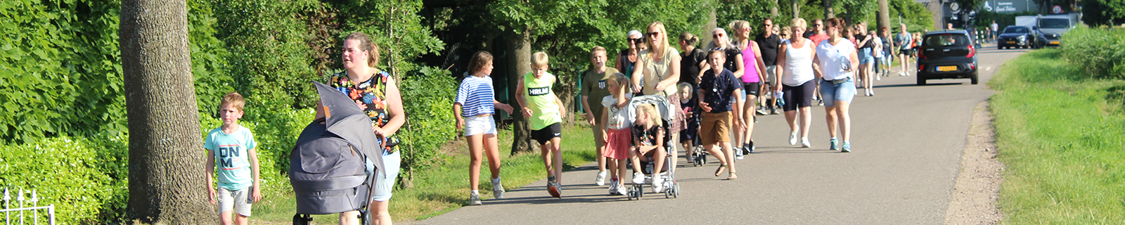 Avondvierdaagse Hoeven